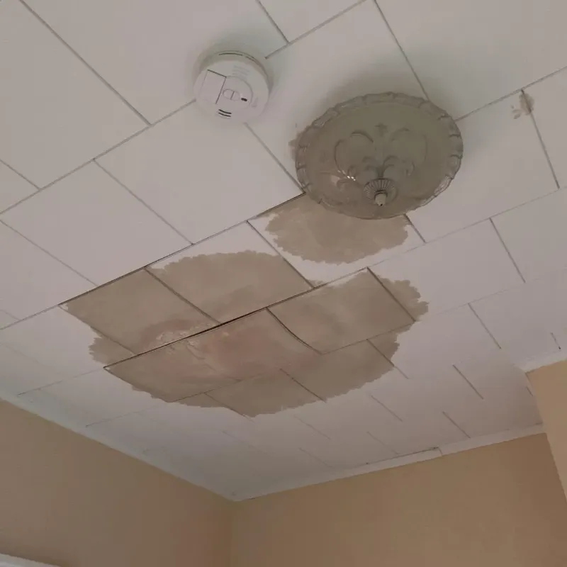 Ceiling Water Damage Repair in Prior Lake, MN