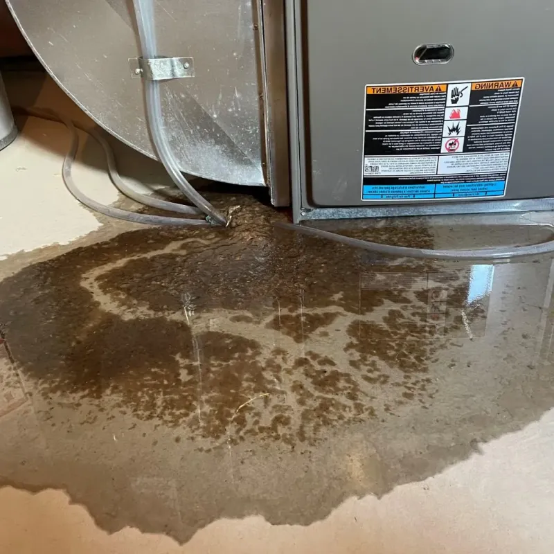 Pipe Burst and Leak Restoration in Prior Lake, MN